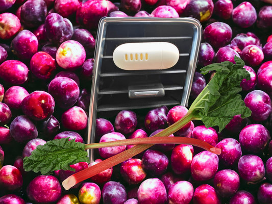 Moonlit Berry Blend Vent Fresh Refillable Car Air Freshener