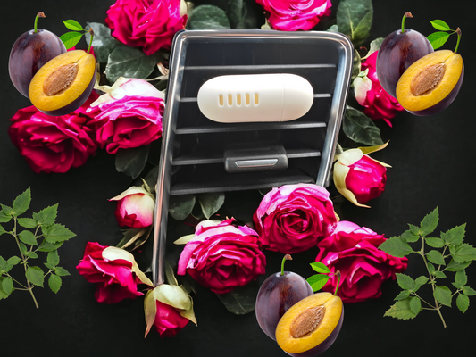 Damson Plumb Rose & Patchouli Vent Fresh Refillable Car Air Freshener